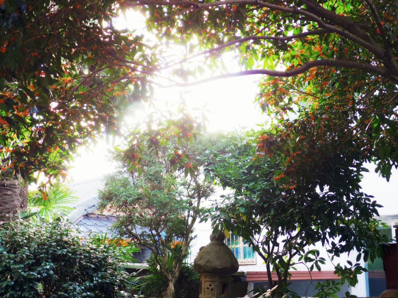 Picasso Guesthouse 木浦市 外观 照片